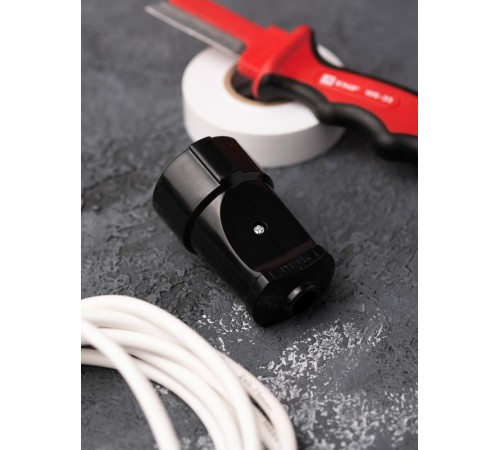 Гнездо штепсельное б/з черн. 10А 250В EKF PROxima  ASG10-30  EKF аналог ASG10-10