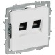 BRITE Розетка компьютерная двойная кат.5E RJ45 РК10-2-БрАБ арктический белый   BR-K20-1-K91  IEK