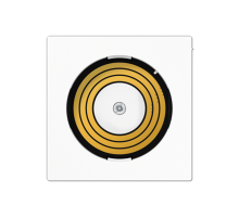 Центральная плата питания PLADMSWW Jung