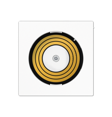 Центральная плата питания PLADMSWW Jung