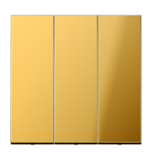 Тройная клавиша GO993 Jung