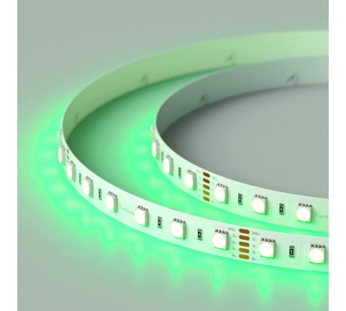 Лента светодиодная RT-B60-12mm 24V RGBW-Warm-4-in-1 (19.2 W/m, IP20, 5060, 5m) (arlight, Открытый)  019152(2)  Arlight