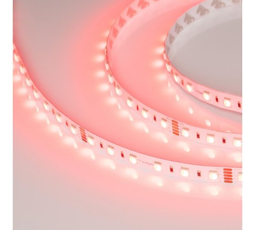 Лента светодиодная RT-B60-12mm 24V RGBW-Day-4-in-1 (19.2 W/m, IP20, 5060, 5m) (arlight, Открытый)  019151(2)  Arlight