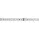 Лента светодиодная RT-B60-12mm 24V RGBW-Day-4-in-1 (19.2 W/m, IP20, 5060, 5m) (arlight, Открытый)  019151(2)  Arlight