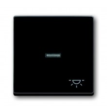 Клавиша для механизма 1-клавишного выкл./перекл./кнопки, с символом "СВЕТ", серия solo/future, цвет антрацит  1751-0-2931   2CKA001751A2931  ABB