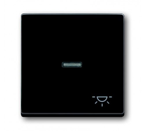 Клавиша для механизма 1-клавишного выкл./перекл./кнопки, с символом "СВЕТ", серия solo/future, цвет антрацит  1751-0-2931   2CKA001751A2931  ABB