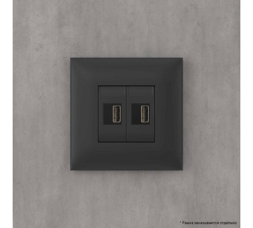 USB зарядное устройство в стену, "Avanti", "Черный матовый"  4412543  DKC