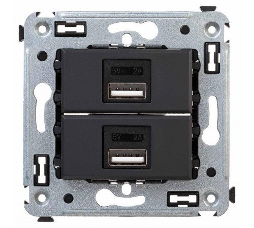 USB зарядное устройство в стену, "Avanti", "Черный матовый"  4412543  DKC