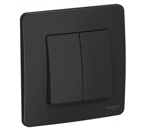 Blanca Антрацит С/У Выключатель 2-клавишный, 10А, 250B  BLNVS010506  SE