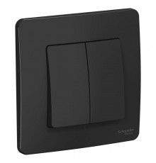 Blanca Антрацит С/У Выключатель 2-клавишный, 10А, 250B  BLNVS010506  SE