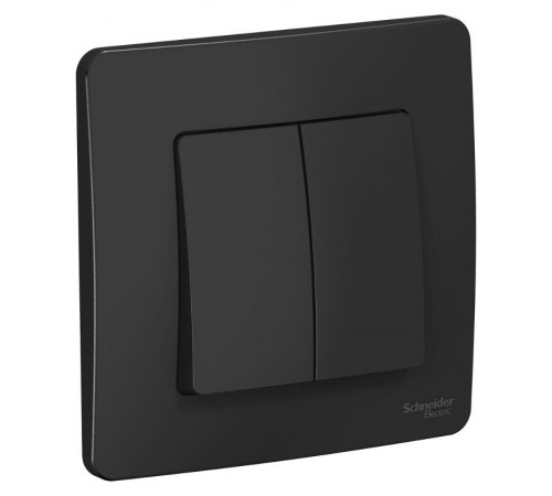 Blanca Антрацит С/У Выключатель 2-клавишный, 10А, 250B  BLNVS010506  SE