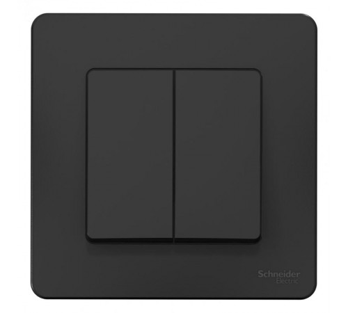 Blanca Антрацит С/У Выключатель 2-клавишный, 10А, 250B  BLNVS010506  SE
