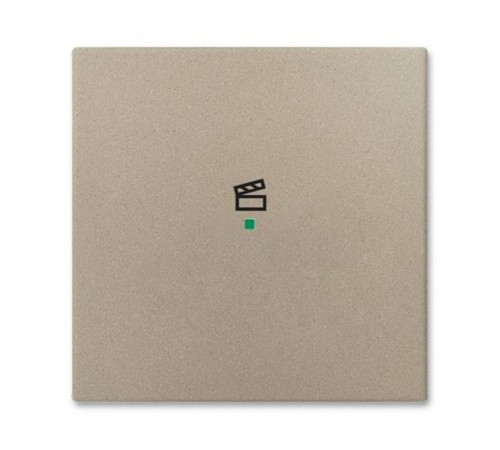 SRS-1-93 Клавиша одинарная free@home, сцена, Basic 55, цвет шампань  6220-0-0655   2CKA006220A0655  ABB