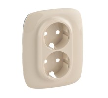 Valena ALLURE Сл.кость Накладка розетки с/з 2-ной  754956  Legrand
