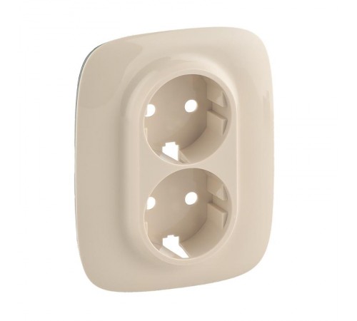 Valena ALLURE Сл.кость Накладка розетки с/з 2-ной  754956  Legrand
