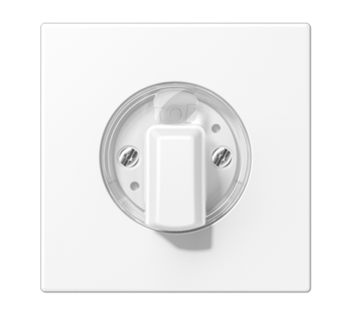 Накладка на поворотные выключатели; дюропласт; белый матовый  LS1941WWM  Jung