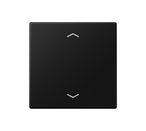 Центральная плата стандарт с символами "стрелки"; термопласт; черный матовый  A1700BFPSWM  Jung