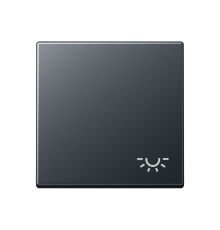 Клавиша с символом освещения    A590BFLANM Jung