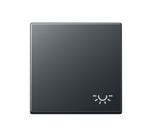 Клавиша с символом освещения    A590BFLANM Jung