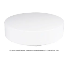 Световой указатель аварийного освещения люминесцентный GALANTHUS BS-1200-2x24 43,3Вт централизованный накладной IP50  a9476  Белый свет