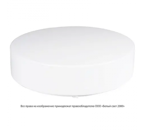 Световой указатель аварийного освещения люминесцентный GALANTHUS BS-1200-2x24 43,3Вт централизованный накладной IP50  a9476  Белый свет