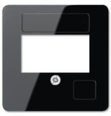 Центральная плата для USB 169TSW Jung