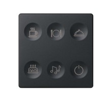 Сенсорный 6-кл выключатель с тематической маркировкой Т2, графит  8000664-038  Simon