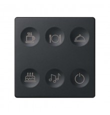 Сенсорный 6-кл выключатель с тематической маркировкой Т2, графит  8000664-038  Simon
