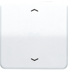 Клавиша для одинарной кнопки BCU; белая CD590PWW Jung