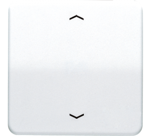 Клавиша для одинарной кнопки BCU; белая CD590PWW Jung