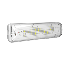 Указатель аварийный светодиодный BS-METEOR-71-L2-INEXI2 6,3Вт 1ч IP65 постоянный накладной  a18077  Белый свет