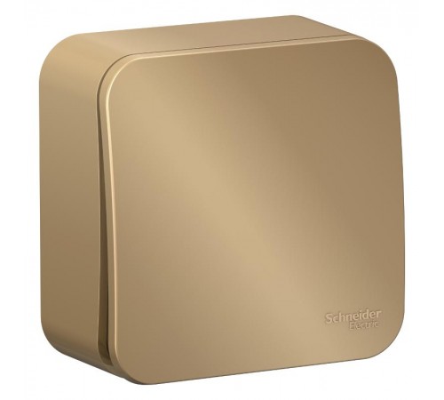 Blanca Титан О/У с изолирующей пластиной Титан Переключатель 1-клавишный 10А, 250В  BLNVA106014  SE