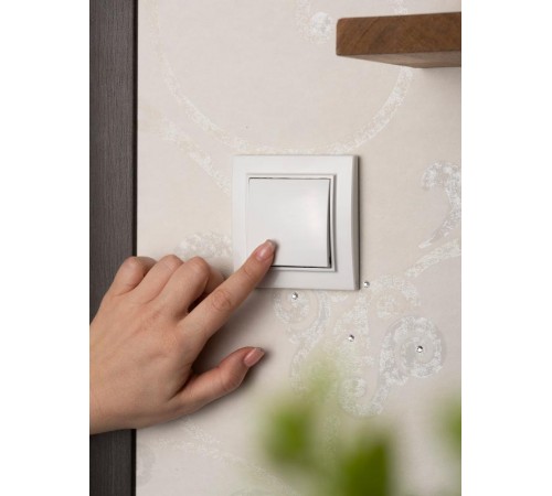 Минск Кнопка нажимная СП, 10А, бел  ERV10-028-10  EKF