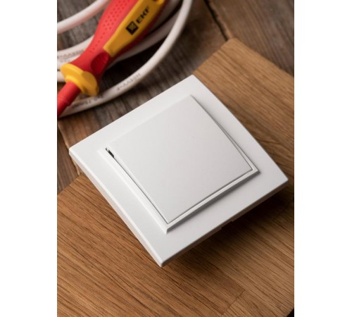 Минск Кнопка нажимная СП, 10А, бел  ERV10-028-10  EKF