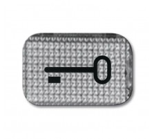 Линза с символом "КЛЮЧ", серия Reflex SI, цвет альпийский белый  1433-0-0044   2CKA001433A0044  ABB