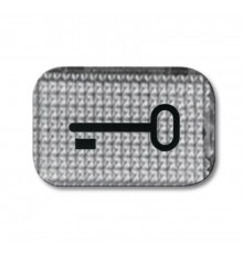 Линза прозрачная с символом "КЛЮЧ"  1714-0-0237   2CKA001714A0237  ABB