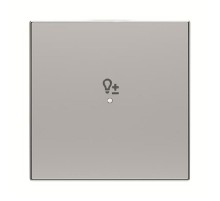SRD-1-85PL Клавиша одинарная free@home, SKY, светорегулятор, серебристая2CLA852625A1301 ABB