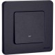 Inspiria Антрацит Переключатель проходной 1-клавишный с подсветкой С/У без рамки  673663  Legrand