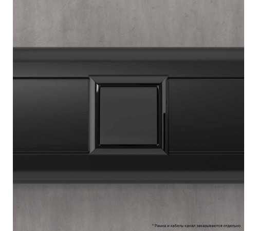 Вывод кабеля модульный "Avanti", "Черный матовый", 2 модуля  4412982  DKC