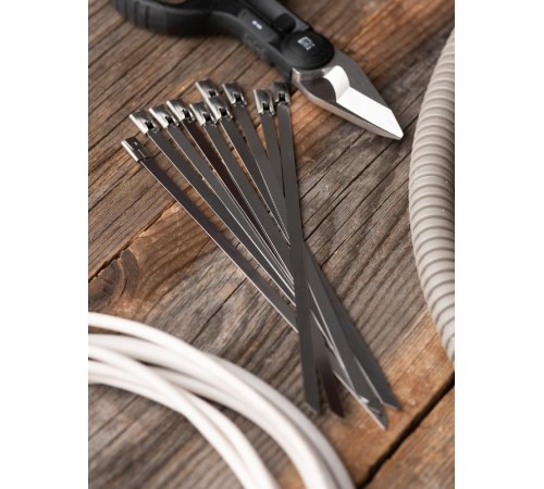 Хомут AISI 304 из нержавеющей стали, 4.6x200 (100 шт.) FlexLock PROximaplc-fl-tss-304-4.6x200EKF