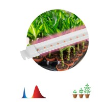 Светильник для растений, фитолампа светодиодная линейная FITO-10W-Т5-RB-Slim красно-синего спектра 10 Вт Т5  Б0057401  ЭРА