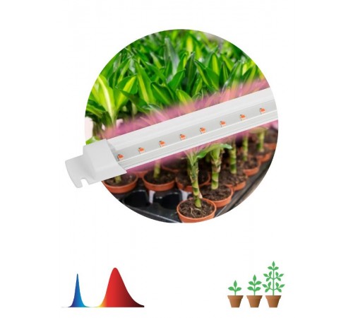 Светильник для растений, фитолампа светодиодная линейная FITO-10W-Т5-RB-Slim красно-синего спектра 10 Вт Т5  Б0057401  ЭРА