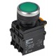 Кнопка с подсвет. и фикс. d=22мм 1NO+1NC зелёная MASTER  MI-BT60-11TD-3-11-K06  IEK