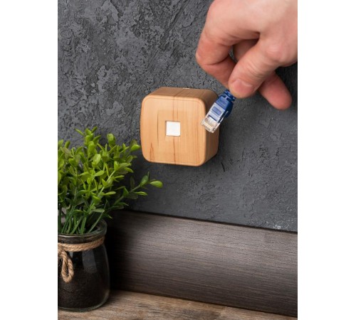 Розетка Phone 1-местная ОП Минск светлое дерево EKF  EGT01-034-30  EKF