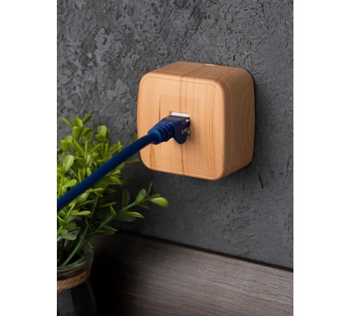 Розетка Phone 1-местная ОП Минск светлое дерево EKF  EGT01-034-30  EKF