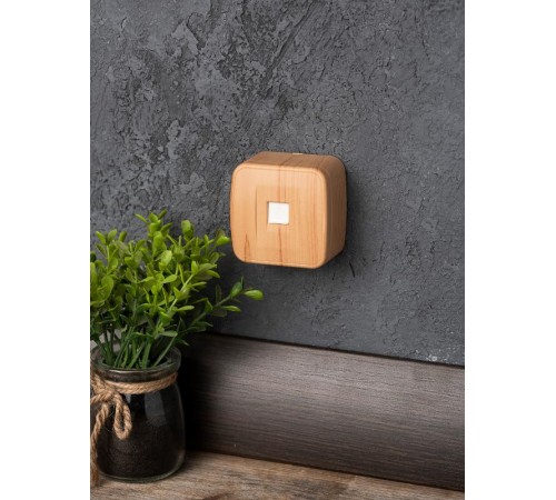 Розетка Phone 1-местная ОП Минск светлое дерево EKF  EGT01-034-30  EKF