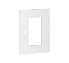 Дверь обзорная ST без ручки 400x600 (ВхШ) мм  R5STX046D  DKC