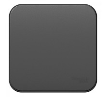 Blanca Антрацит О/У с изолирующей пластиной Переключатель 1-клавишный 10А, 250B  BLNVA106016  SE