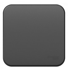 Blanca Антрацит О/У с изолирующей пластиной Выключатель 1-клавишный 10А, 250B  BLNVA101016  SE