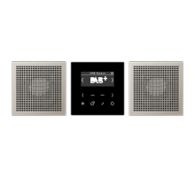 Смарт радио DAB+, стерео; черный/нержавеющая сталь  DABES2  Jung